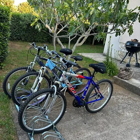 Apartmán Yelica *