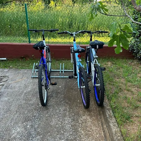 Yelica Apartmán Zaton (Zadar)